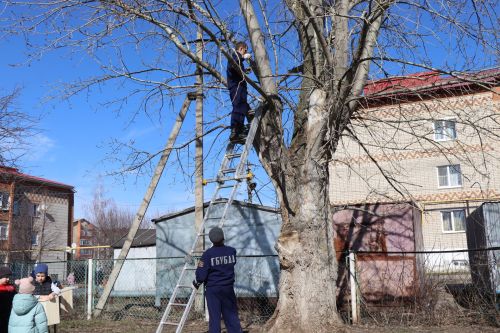 Нурлатские ЮИДовцы присоединились к весенней экоакции «Скворечники в стиле ПДД»