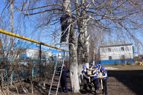 Нурлатские ЮИДовцы присоединились к весенней экоакции «Скворечники в стиле ПДД»