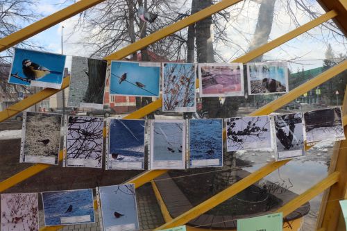 Их фантазия безгранична!: Чем удивили участники фестиваля «На крыльях весны»
