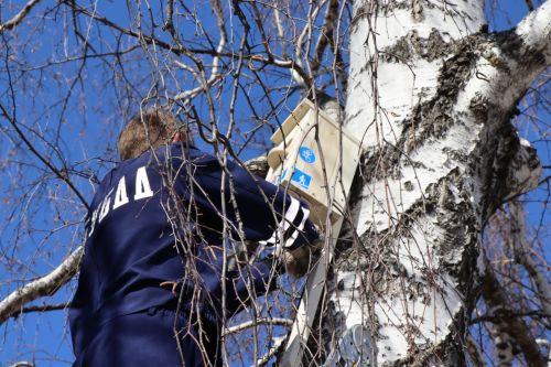 Нурлатские ЮИДовцы присоединились к весенней экоакции «Скворечники в стиле ПДД»