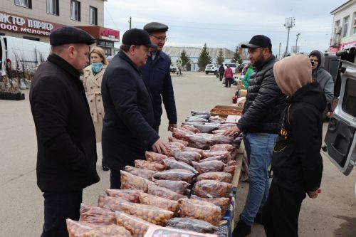 Ярмарка в Нурлате особенно порадовала садоводов