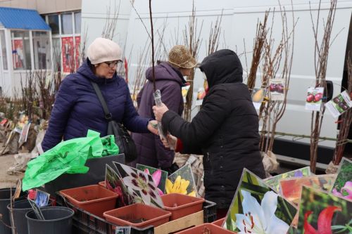 Ярмарка в Нурлате особенно порадовала садоводов