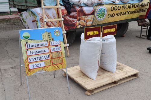 Ярмарка в Нурлате особенно порадовала садоводов