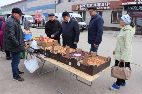 Ярмарка в Нурлате особенно порадовала садоводов