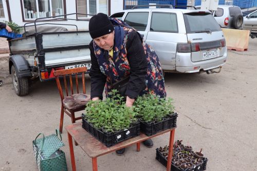 Ярмарка в Нурлате особенно порадовала садоводов