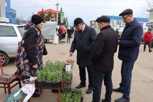 Ярмарка в Нурлате особенно порадовала садоводов