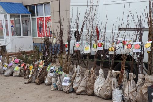 Ярмарка в Нурлате особенно порадовала садоводов