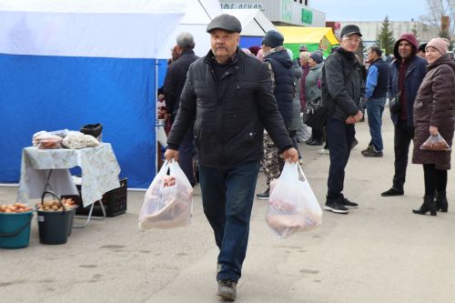 Ярмарка в Нурлате особенно порадовала садоводов