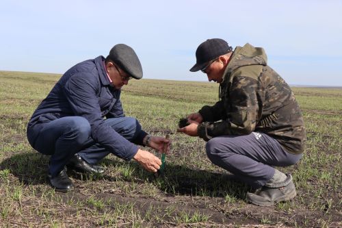 В Нурлатском районе весенне-полевые работы набирают обороты