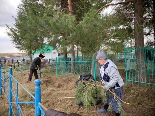 Жители Старой Амзи Нурлатского района организовали субботник на кладбище