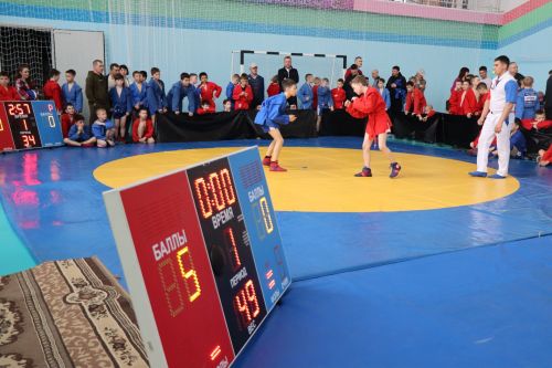 Более 250 спортсменов собрались в Нурлате на республиканские соревнования по самбо (+ФОТОРЕПОРТАЖ)