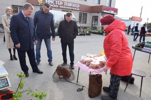 Ярмарка в Нурлате: свежие огурцы из теплицы, разноцветные яйца, живая рыба…