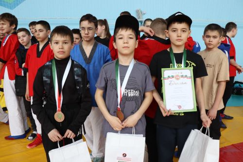 В Нурлате прошла церемония награждения победителей Первенства РТ по борьбе на поясах (фоторепортаж)