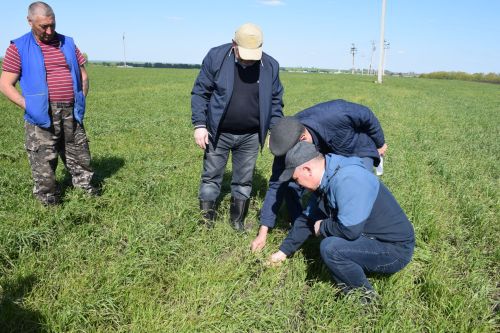 Глава Нурлатского района ознакомился с ходом посевных работ на полях района