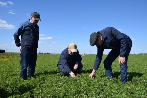 Глава Нурлатского района ознакомился с ходом посевных работ на полях района