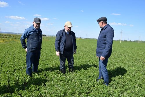 Глава Нурлатского района ознакомился с ходом посевных работ на полях района