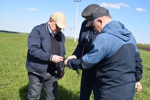Глава Нурлатского района ознакомился с ходом посевных работ на полях района