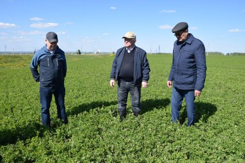 Глава Нурлатского района ознакомился с ходом посевных работ на полях района