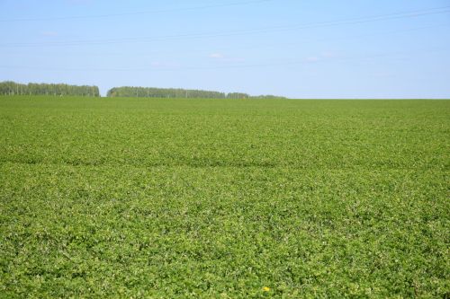 Глава Нурлатского района ознакомился с ходом посевных работ на полях района