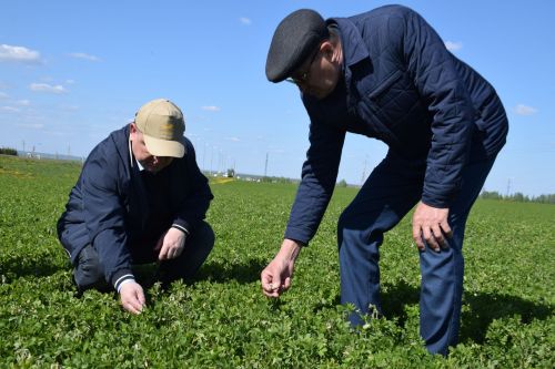 Глава Нурлатского района ознакомился с ходом посевных работ на полях района