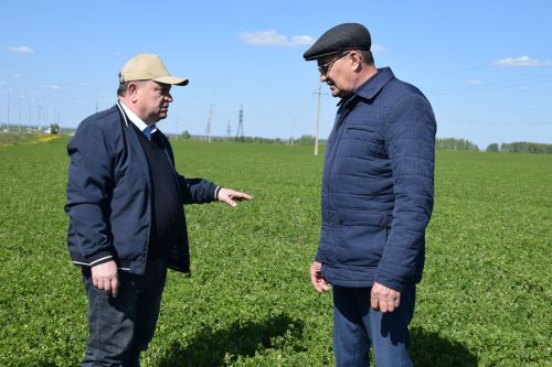 Глава Нурлатского района ознакомился с ходом посевных работ на полях района