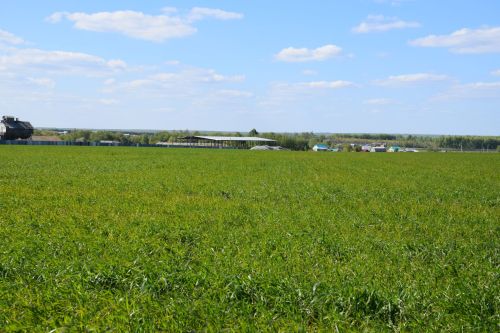 Глава Нурлатского района ознакомился с ходом посевных работ на полях района