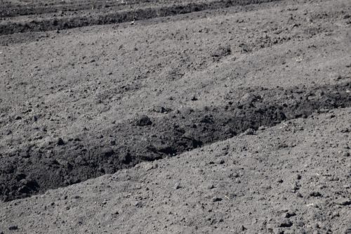Глава Нурлатского района ознакомился с ходом посевных работ на полях района