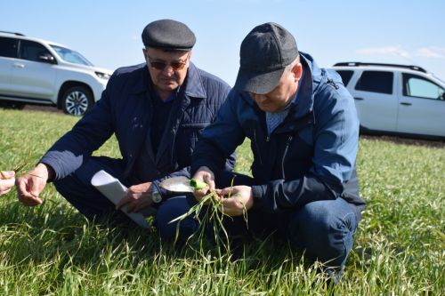 Глава Нурлатского района ознакомился с ходом посевных работ на полях района