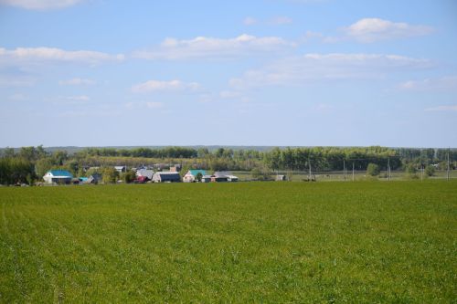 Глава Нурлатского района ознакомился с ходом посевных работ на полях района