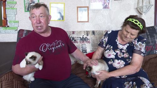 Совсем скоро в семье Малыгиных ожидается пушистое пополнение