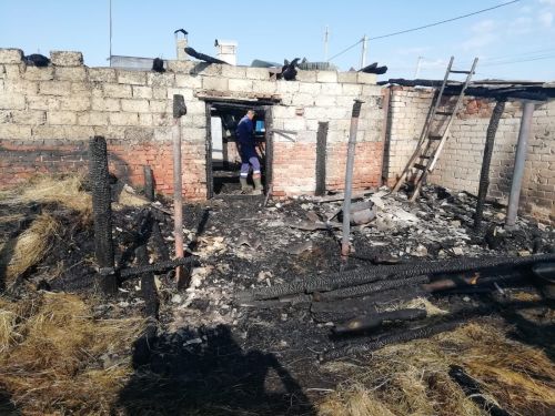 В пожаре козочек спасли, а машина сгорела