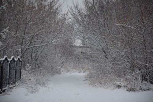 В конце дня и вечером 20 января а территории РТ местами ожидаются метели с ухудшением видимости до 1-2 км и сильный ветер