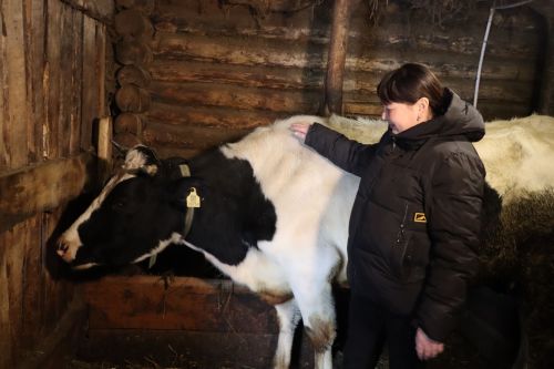 В двух КФХ Богдашкинского сельского поселения содержатся 134 головы КРС