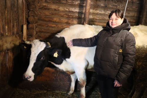В двух КФХ Богдашкинского сельского поселения содержатся 134 головы КРС
