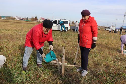 В Нурлате посадили Аллею волонтеров