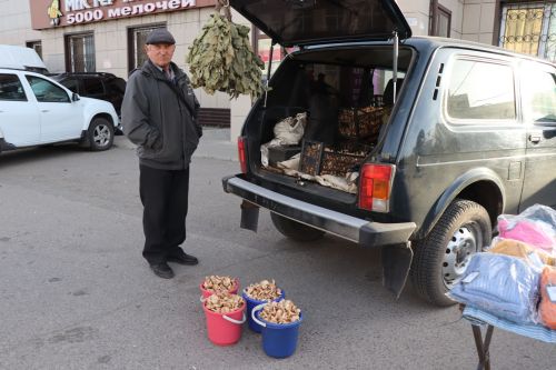 В Нурлате проходит очередная осенняя сельскохозяйственная ярмарка