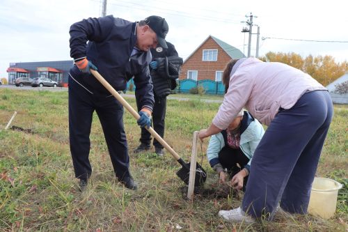 В Нурлате посадили Аллею волонтеров