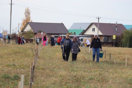 В Нурлате посадили Аллею волонтеров