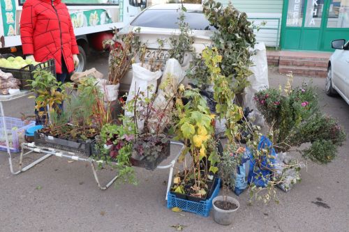 В Нурлате проходит очередная осенняя сельскохозяйственная ярмарка