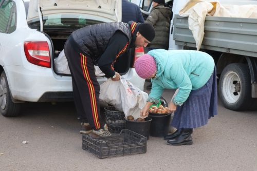 В Нурлате проходит очередная осенняя сельскохозяйственная ярмарка