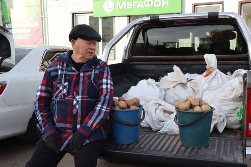 В Нурлате проходит очередная осенняя сельскохозяйственная ярмарка