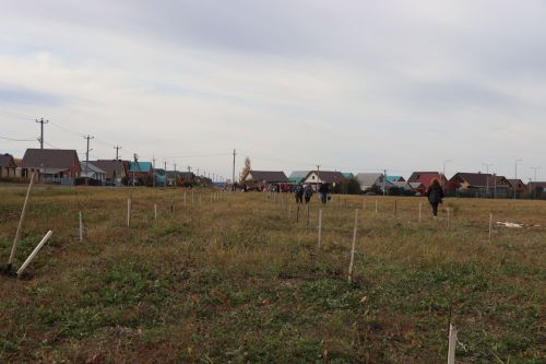 В Нурлате посадили Аллею волонтеров