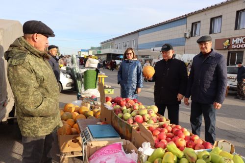 В Нурлате проходит очередная осенняя сельскохозяйственная ярмарка