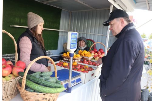 В Нурлате проходит очередная осенняя сельскохозяйственная ярмарка
