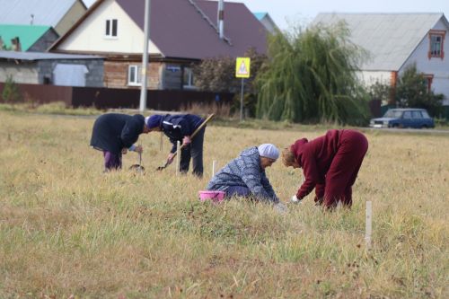 В Нурлате посадили Аллею волонтеров