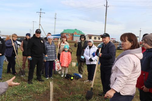В Нурлате посадили Аллею волонтеров