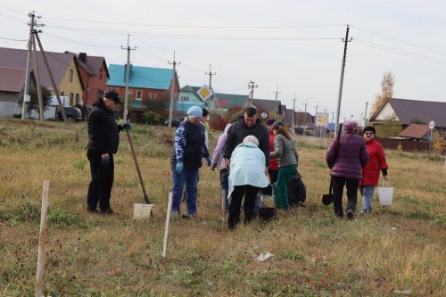 В Нурлате посадили Аллею волонтеров
