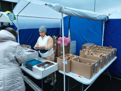 Свежие продукты от нурлатских фермеров в Казани: сельхозярмарка в «Салават Купере»