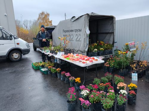 Свежие продукты от нурлатских фермеров в Казани: сельхозярмарка в «Салават Купере»