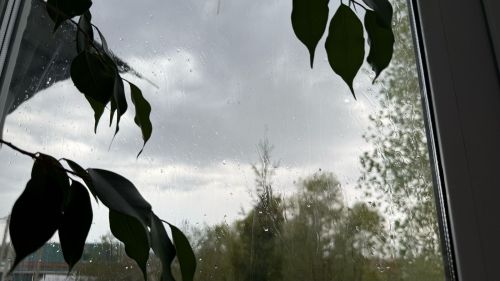 Погода в Нурлате 22 октября